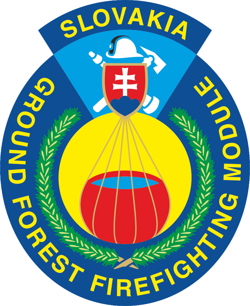logo gfffv